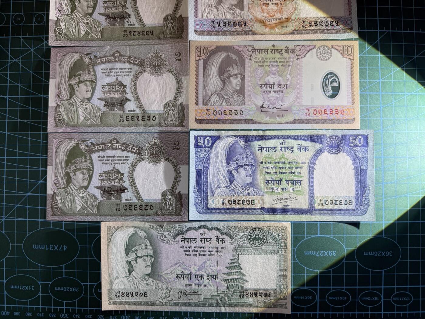 【炜奕收藏】，第五十三期