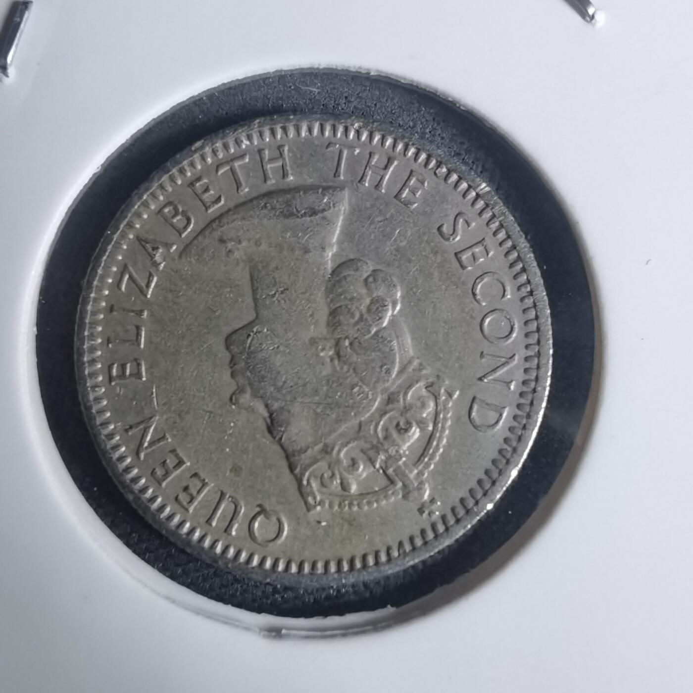 沼泽如烟--第935场