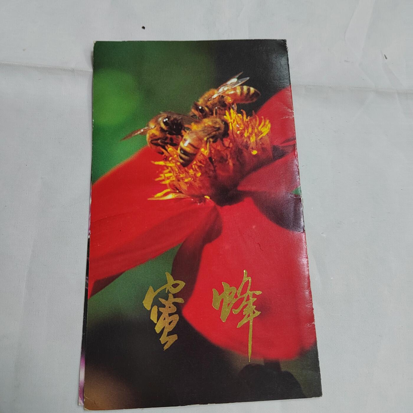 PCAI钱币  17-661  邮品小专场 密峰