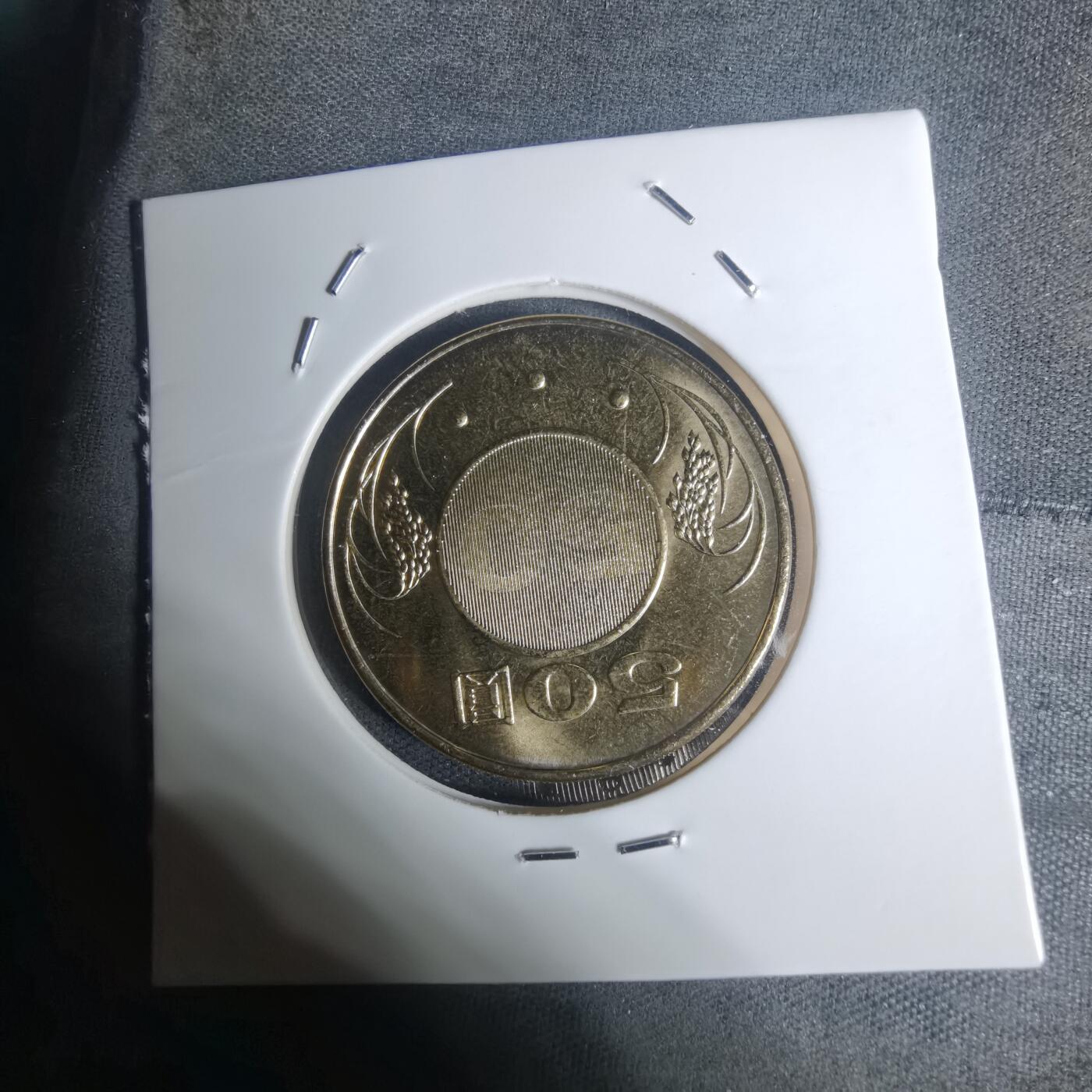 沼泽如烟--第934场