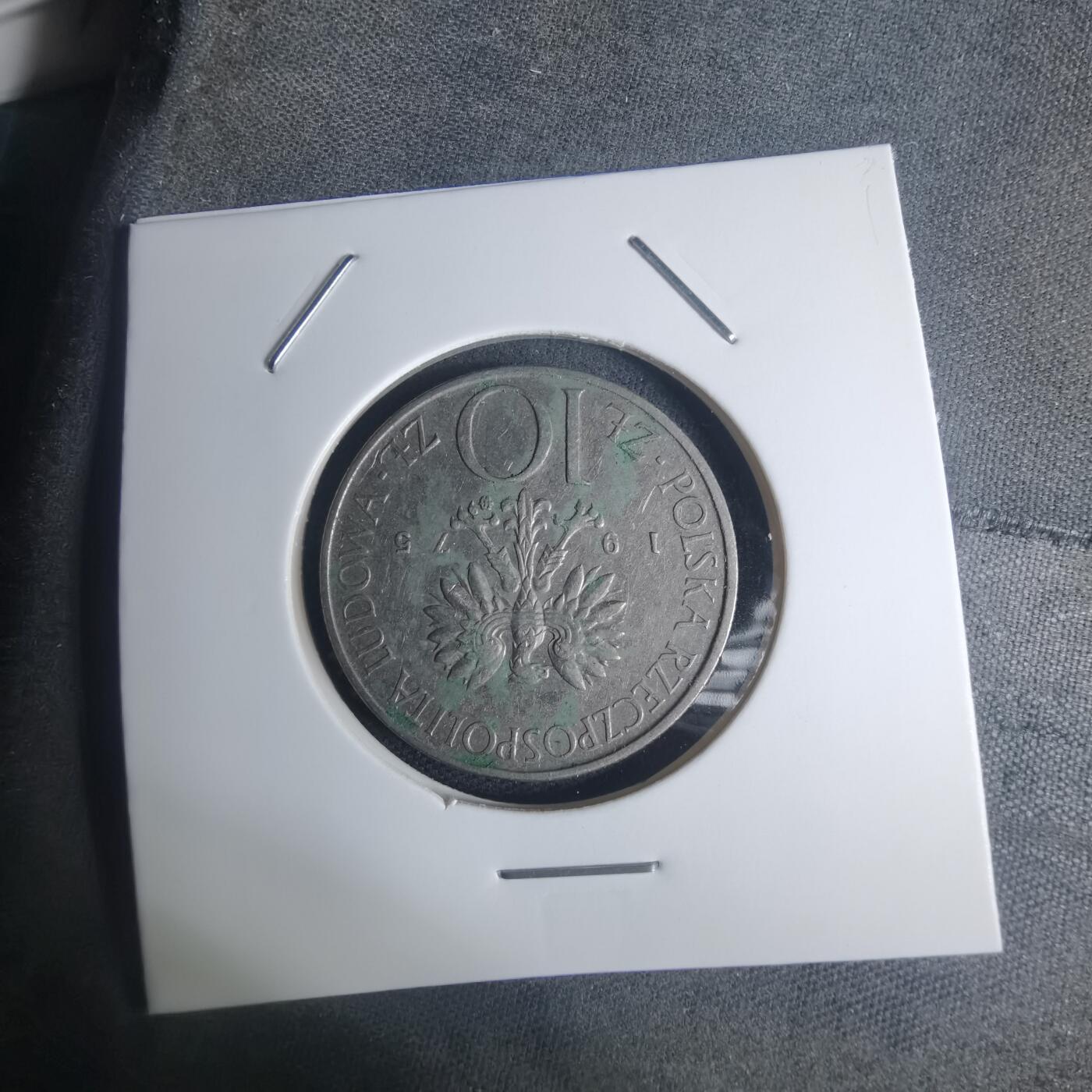 沼泽如烟--第935场