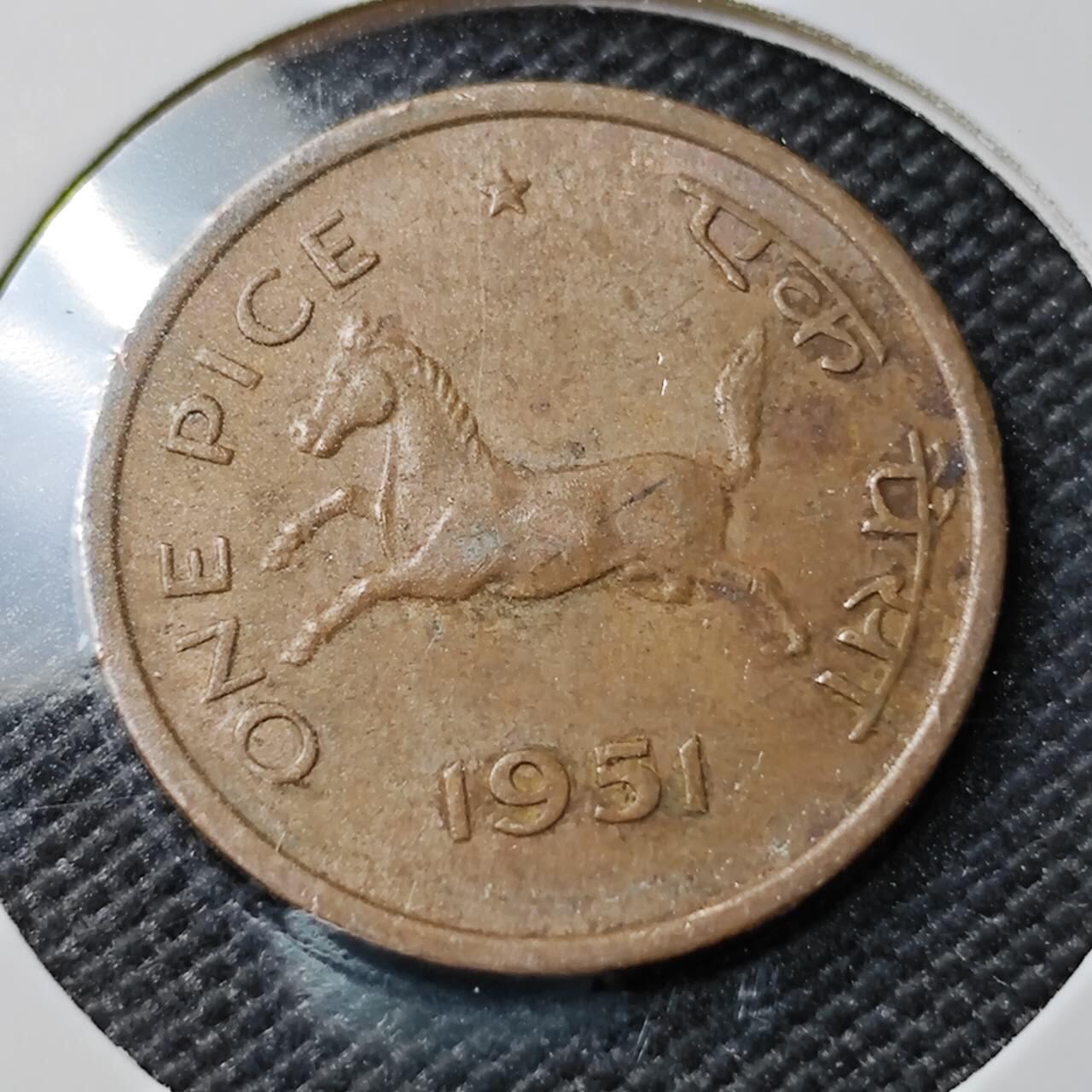 KK钱币收藏小铺 第380期  2月预留时间 周末发货  印度小马铜币