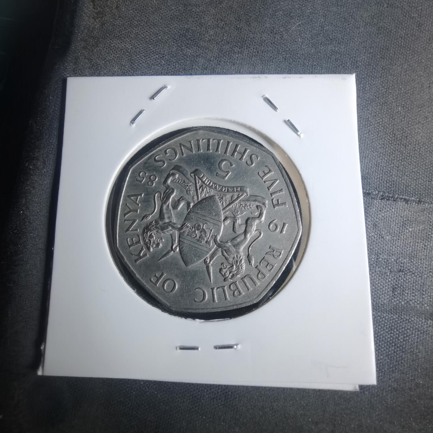 沼泽如烟--第935场