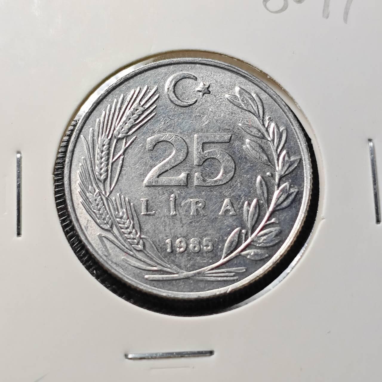 KK钱币收藏小铺 第380期  2月预留时间 周末发货