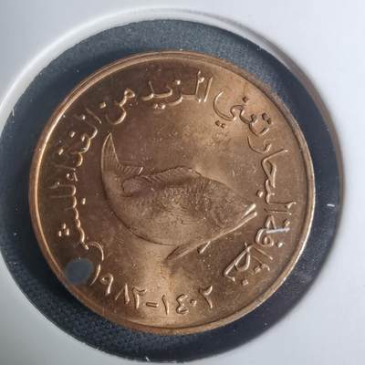 沼泽如烟--第935场 - 阿联酋