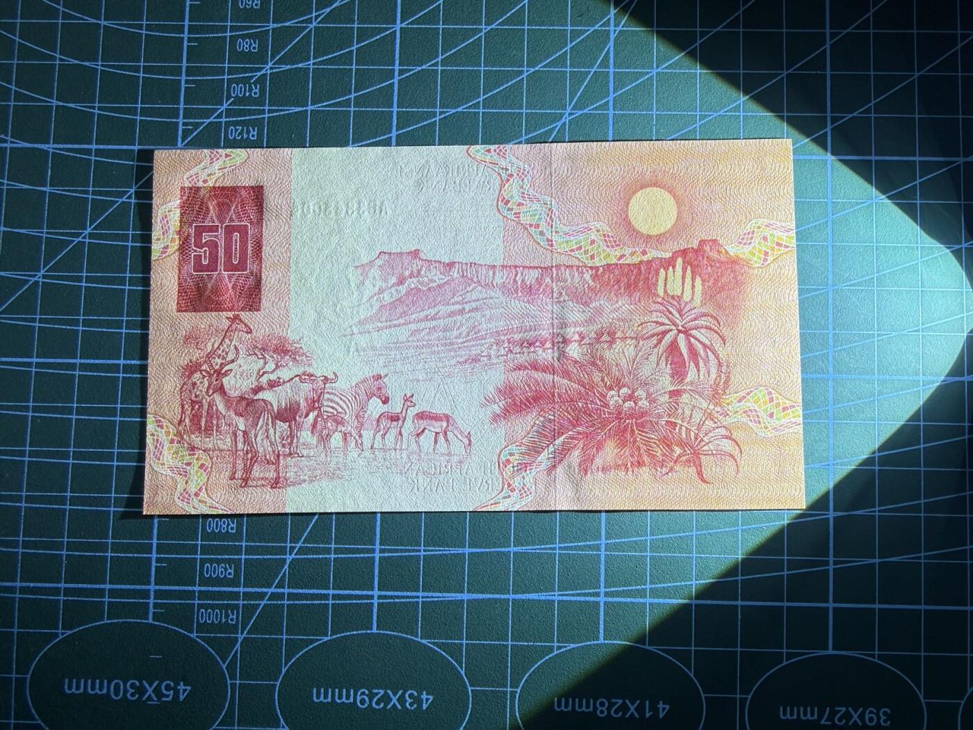 【炜奕收藏】，第五十三期