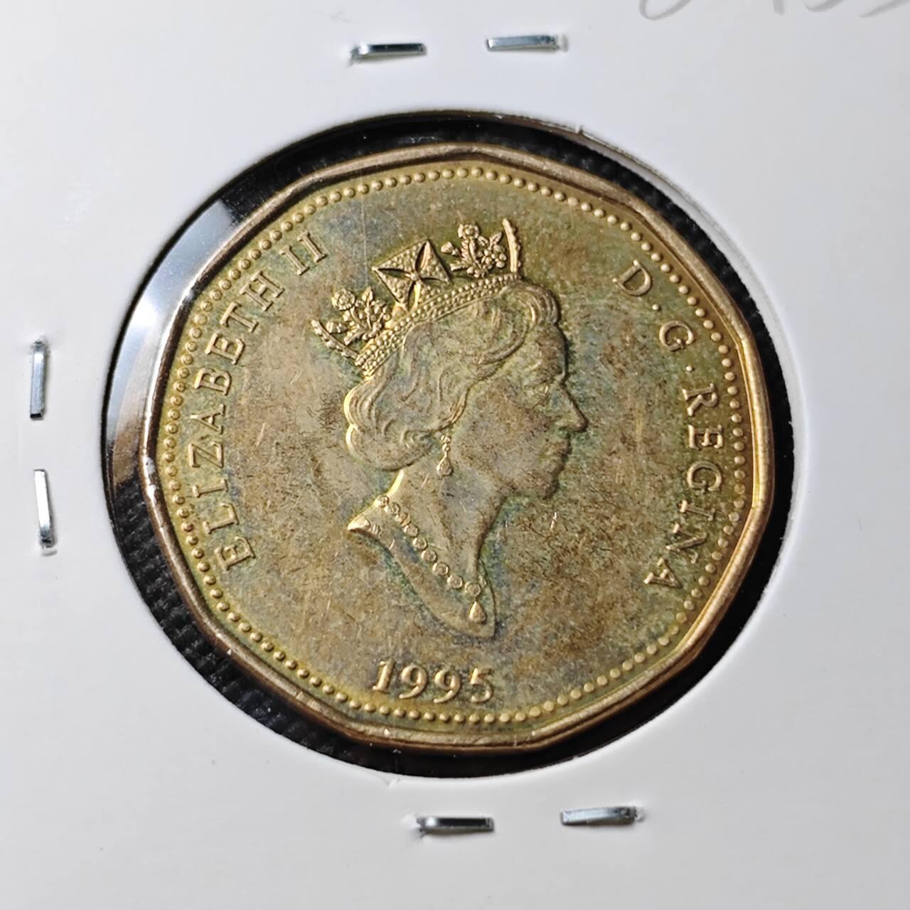 KK钱币收藏小铺 第380期  2月预留时间 周末发货  加拿大1元纪念币