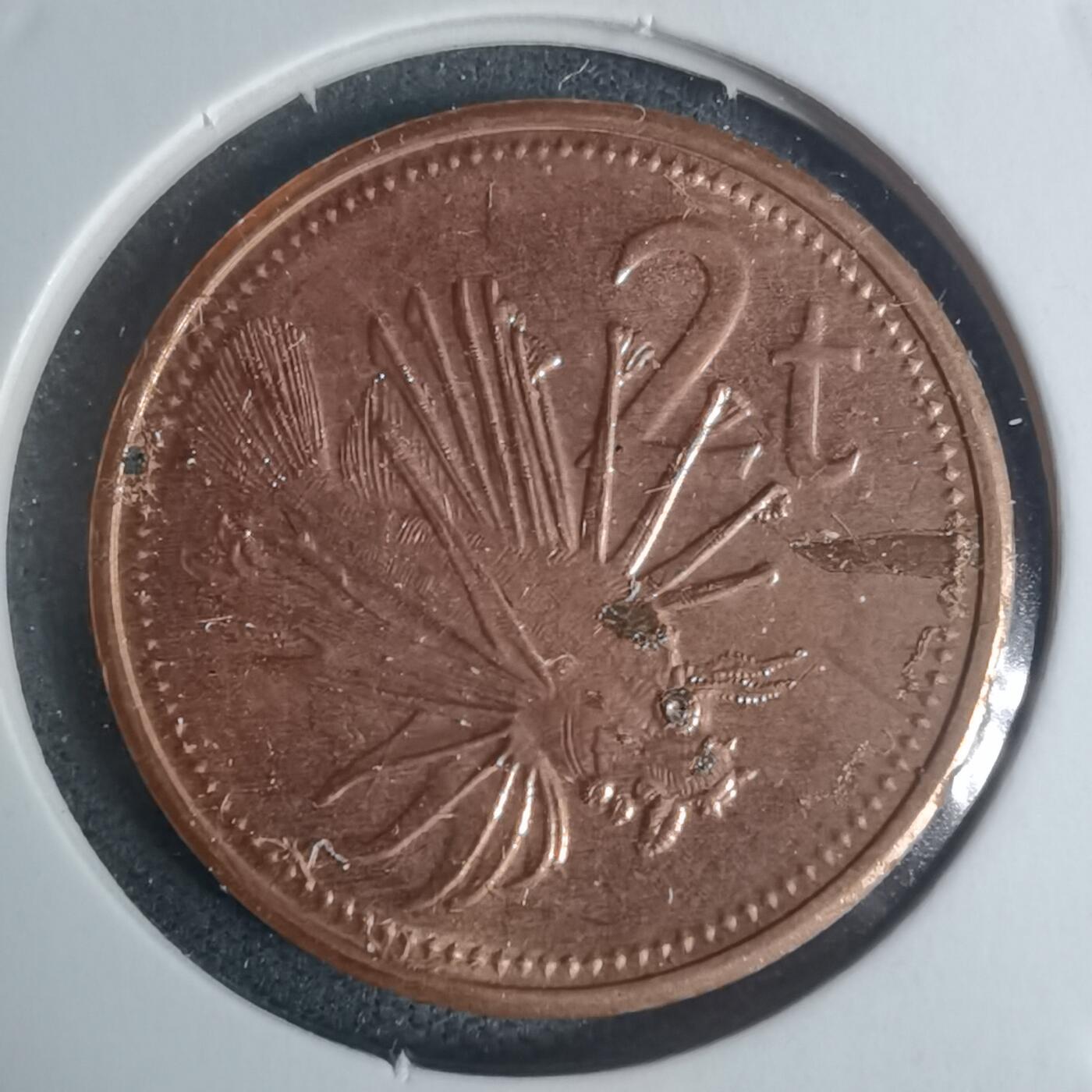 沼泽如烟--第934场