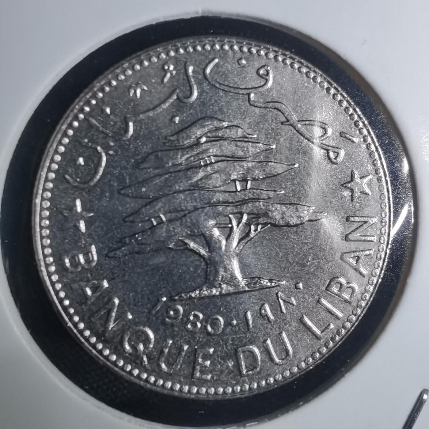 沼泽如烟--第935场