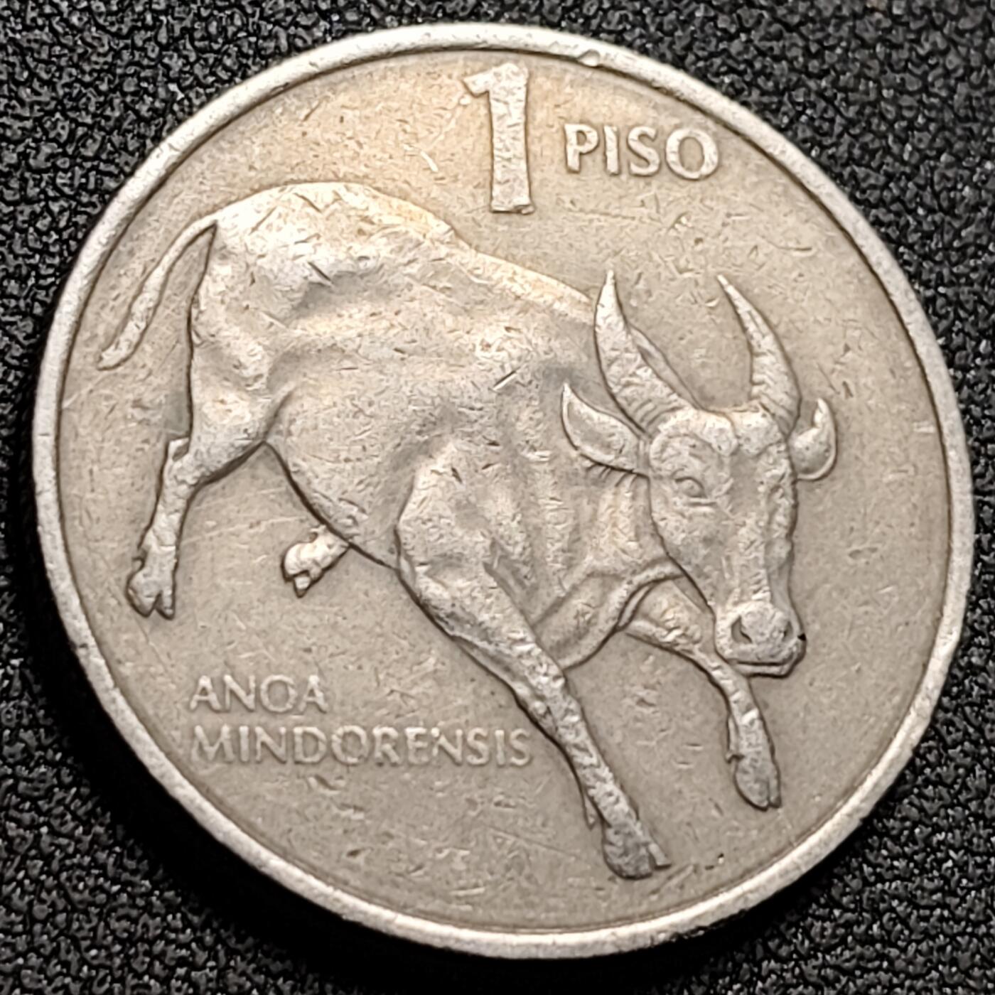 泉币菌-第147场-精品福利场 。