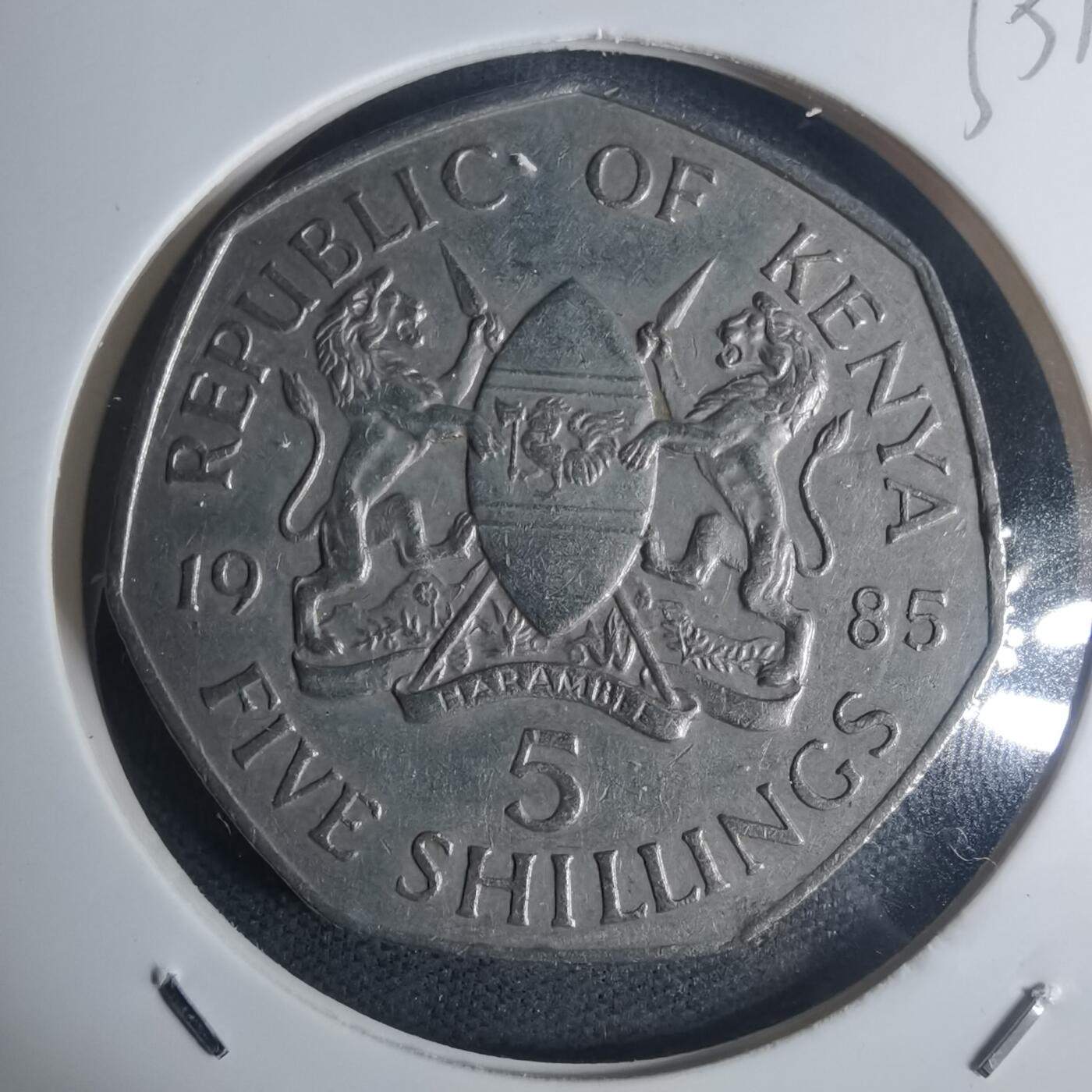 沼泽如烟--第935场