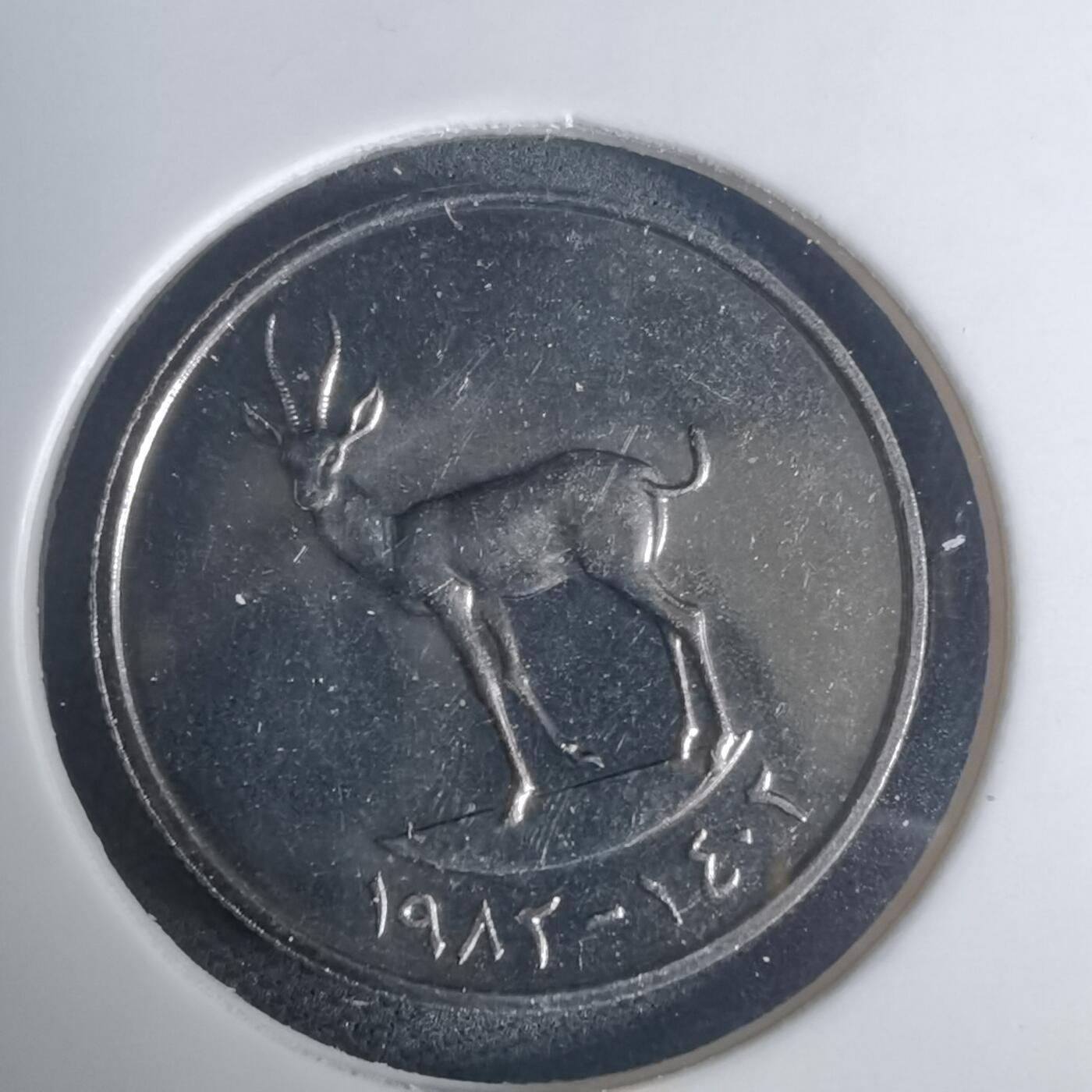 沼泽如烟--第935场 阿联酋