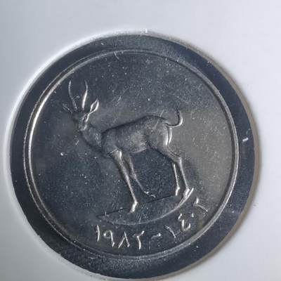 沼泽如烟--第935场 - 阿联酋