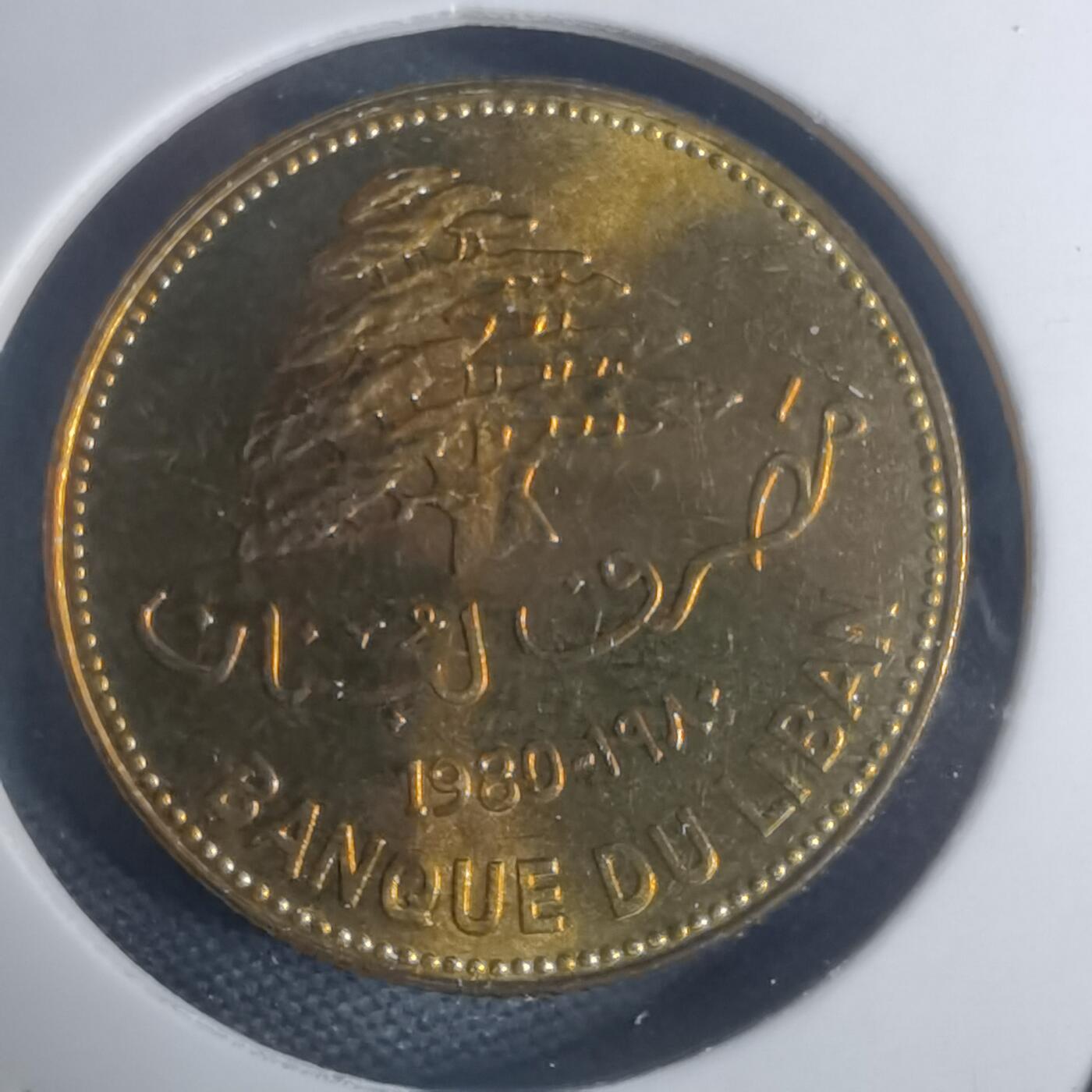 沼泽如烟--第935场