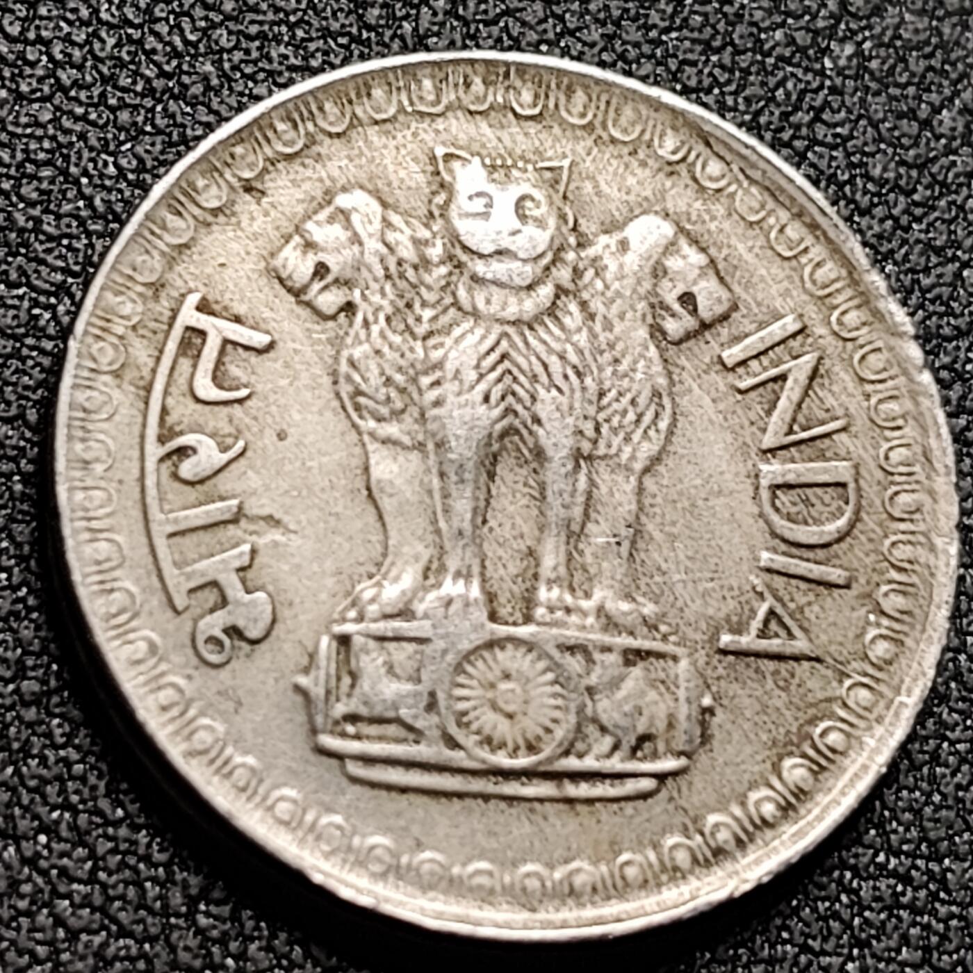 泉币菌-第147场-精品福利场 。