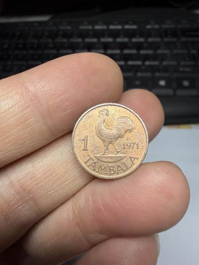 2025年集古藏今外币拍卖第十一期-第1场—（总第291拍），可以寄存60天，满160元包邮。 - 1971年坦桑尼亚1塔巴拉