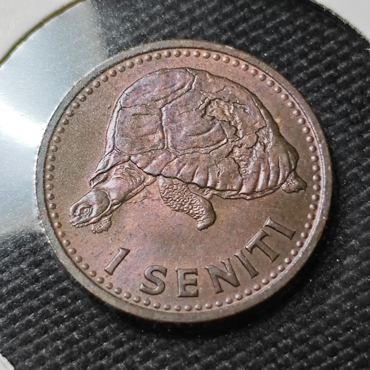 KK钱币收藏小铺 第381期  2月预留时间 周末发货