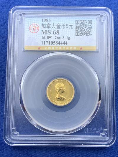 《竞宝斋》第448场 周日，周一，2场连拍 （全场包邮） - 公博 MS68 加拿大1985年5加元枫叶金币 纯金10分之1盎司3.11克