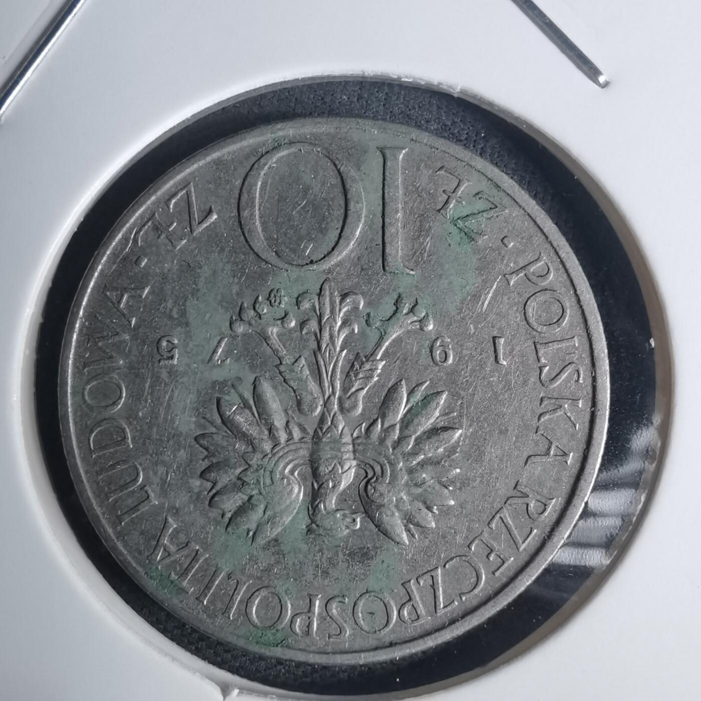 沼泽如烟--第935场