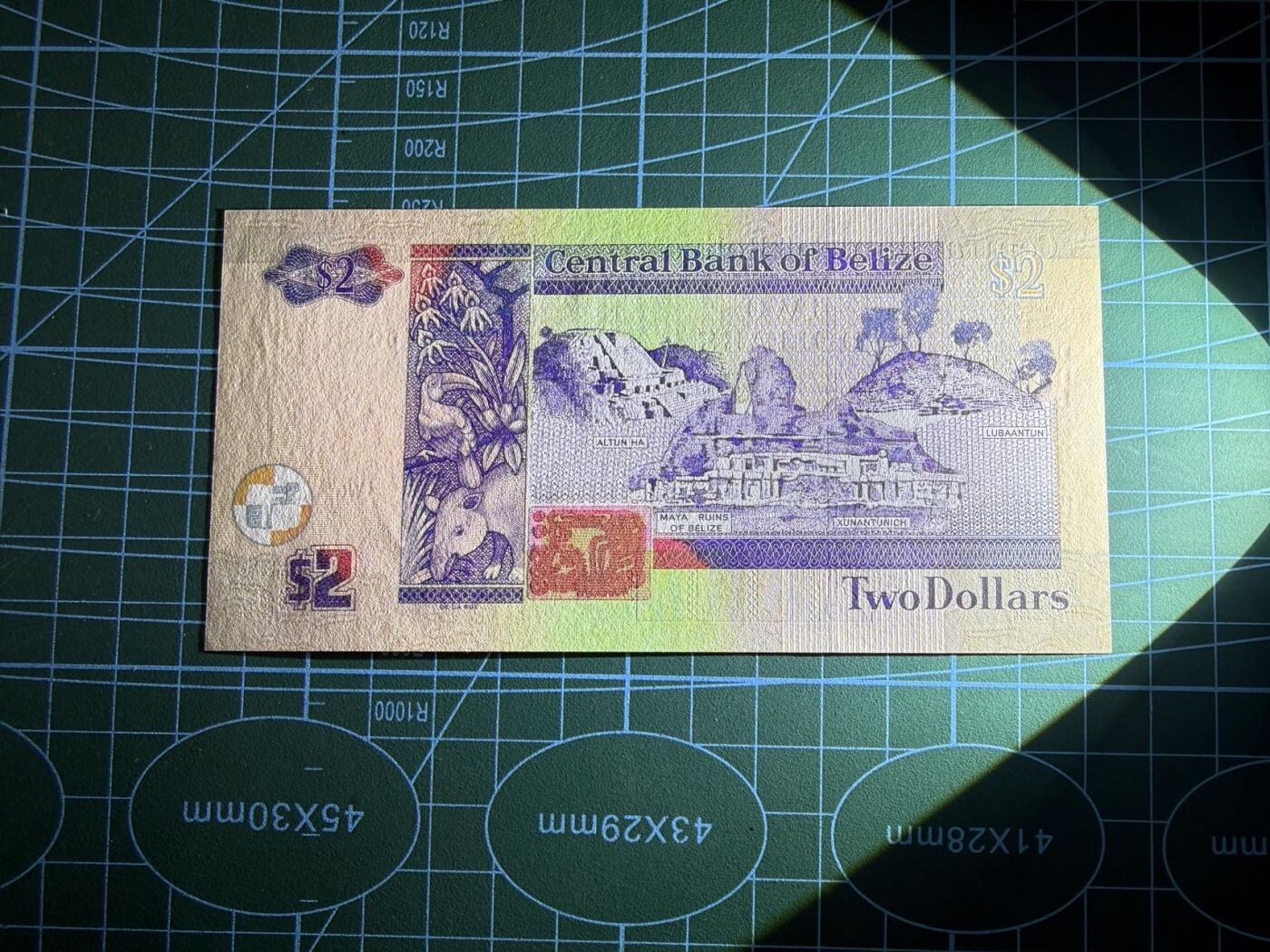 【炜奕收藏】，第五十三期 2005年伯利兹2元，UNC品相