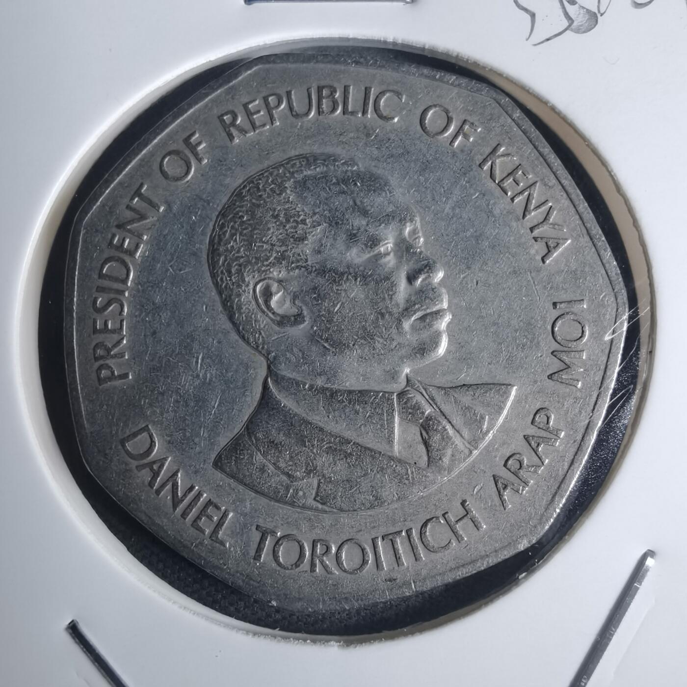 沼泽如烟--第935场