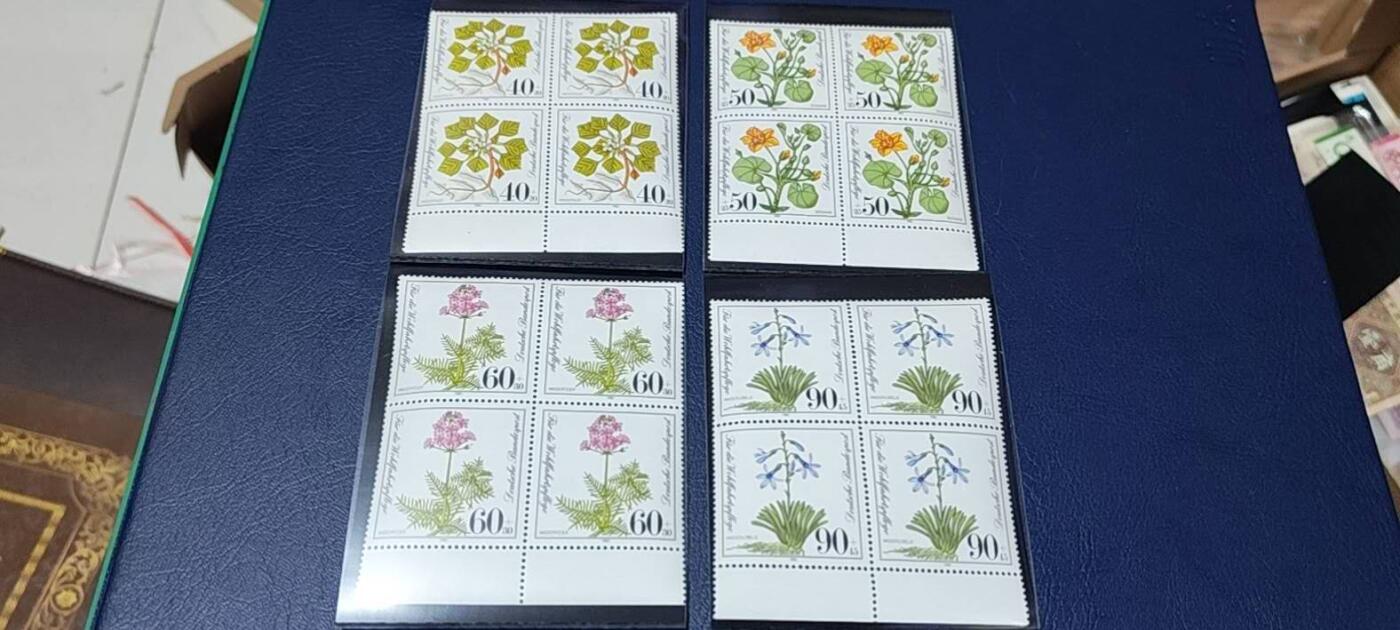 🔥套票🔥德国邮票专场，都是四方联套票 德国邮票  四方联一套，1981年发行，植物  森林花卉4全 ，品相如图