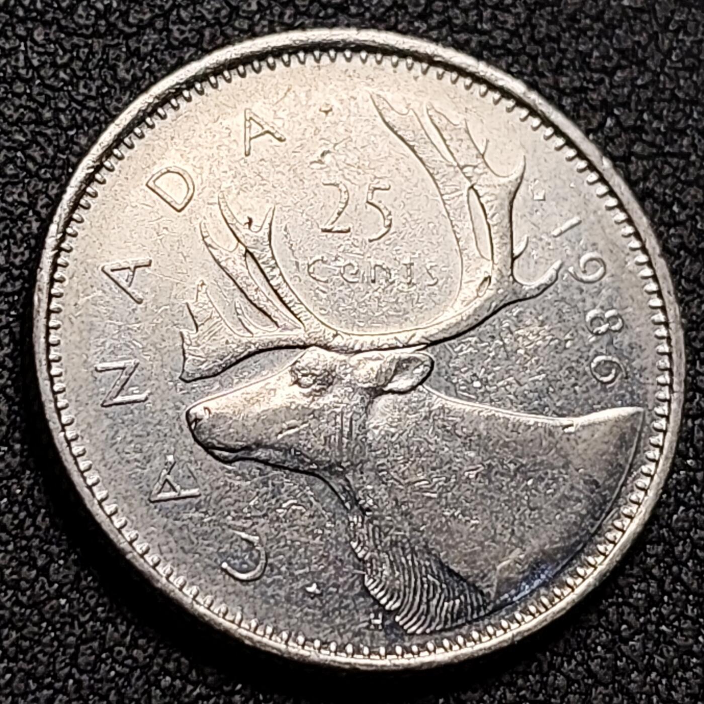 泉币菌-第147场-精品福利场 。