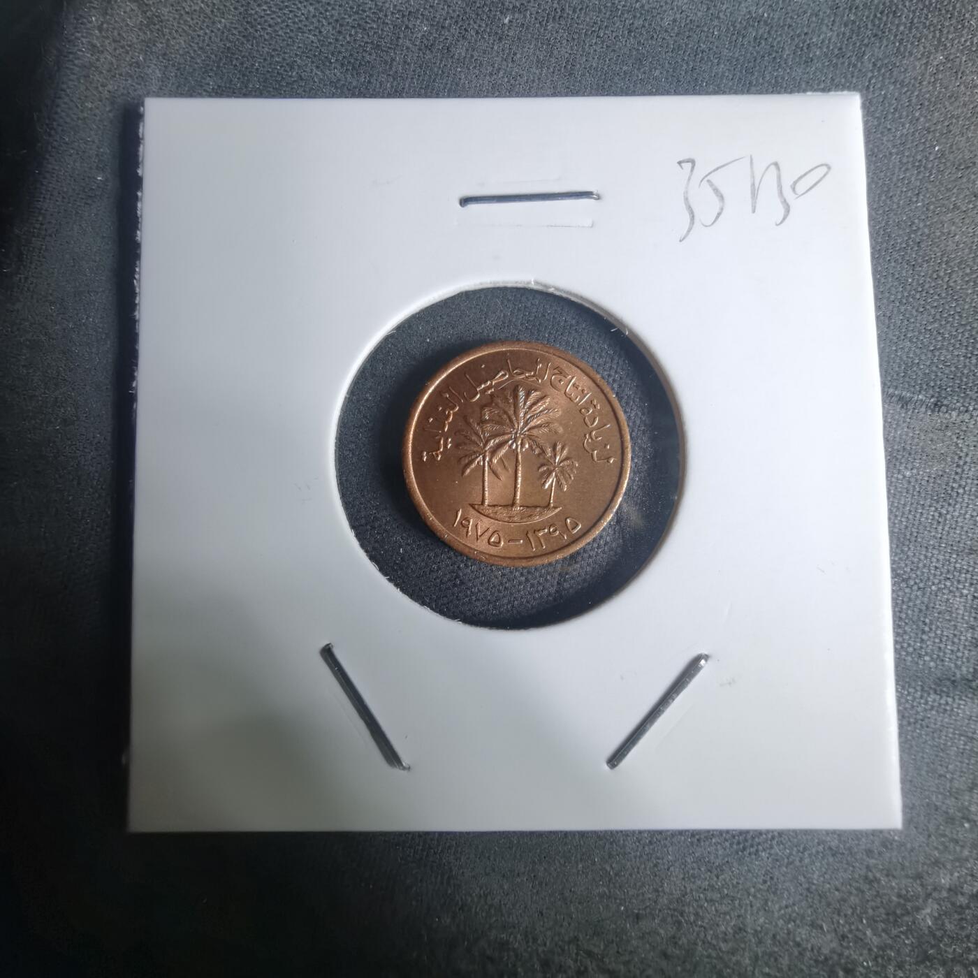 沼泽如烟--第935场