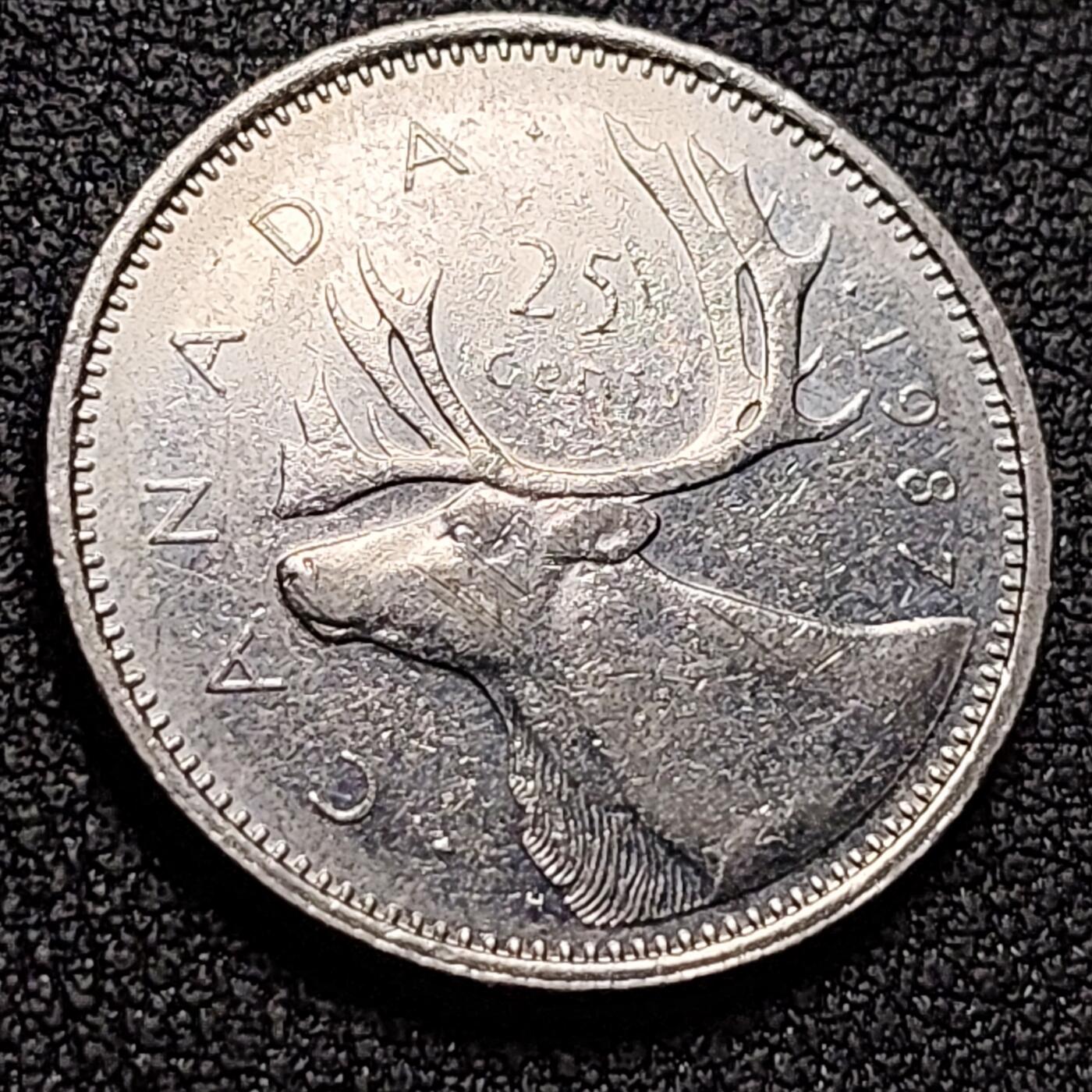 泉币菌-第147场-精品福利场 。