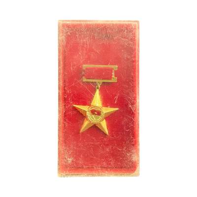 熹将军2026新年小拍1 总56期 - 第一版 越南母亲金星