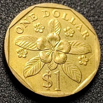 泉币菌-第147场-精品福利场 - 低盾卓锦万代兰胡姬花兰花 1989年 新加坡1圆黄铜硬币22mm6.3