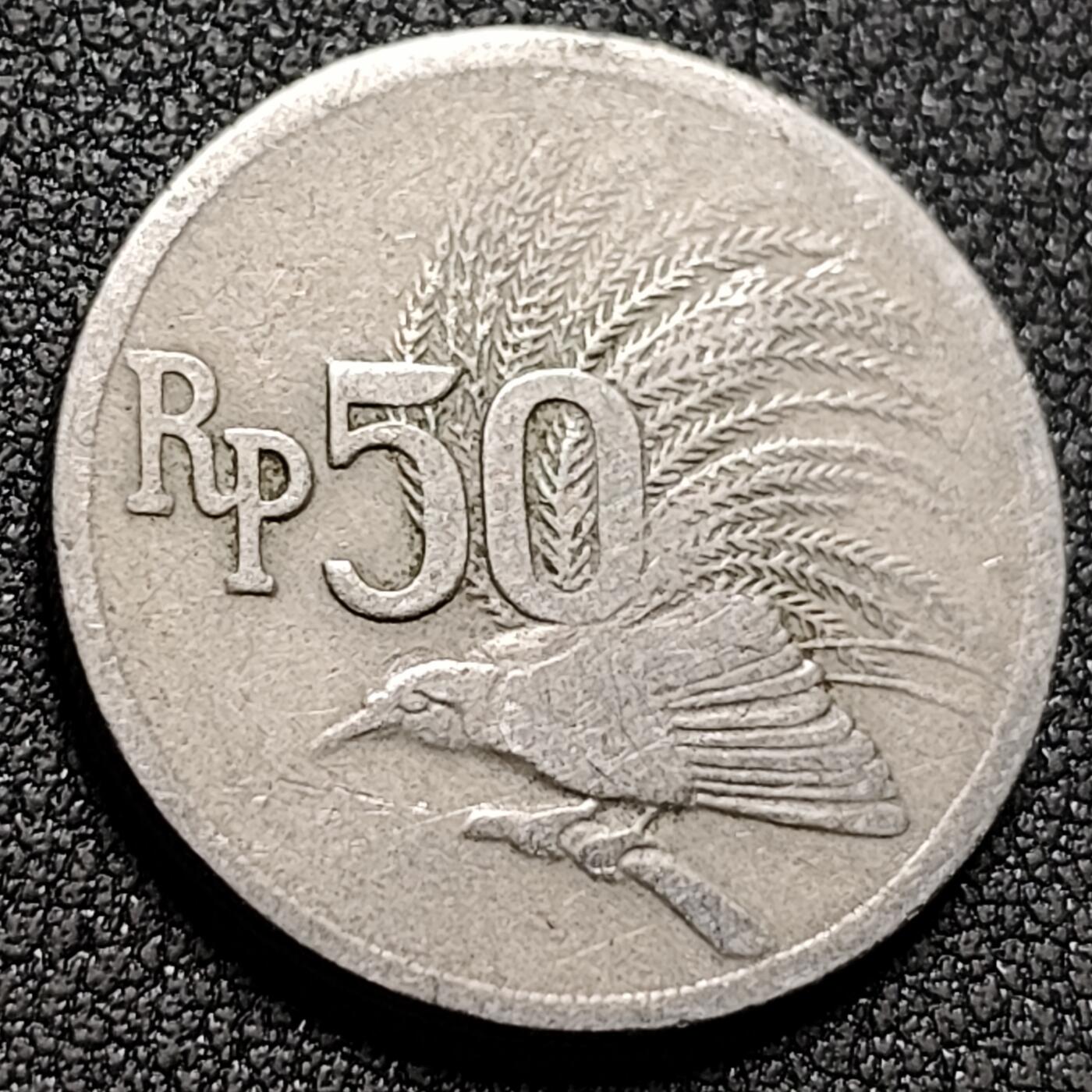 泉币菌-第147场-精品福利场 。