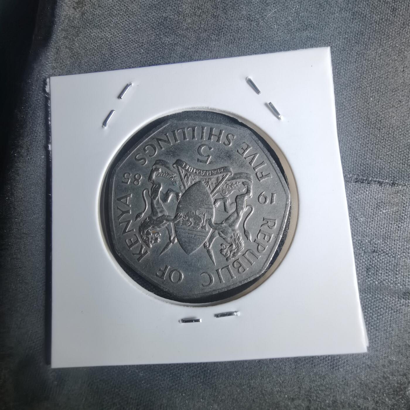 沼泽如烟--第935场