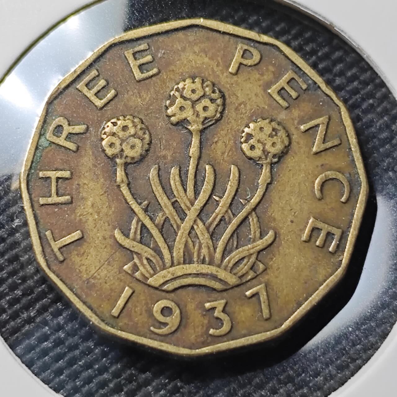 KK钱币收藏小铺 第380期  2月预留时间 周末发货