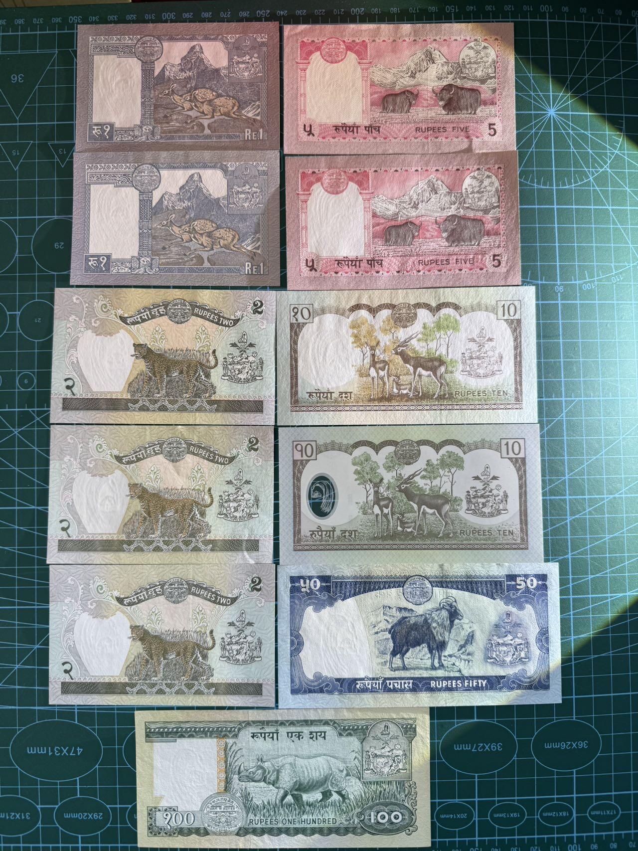 【炜奕收藏】，第五十三期