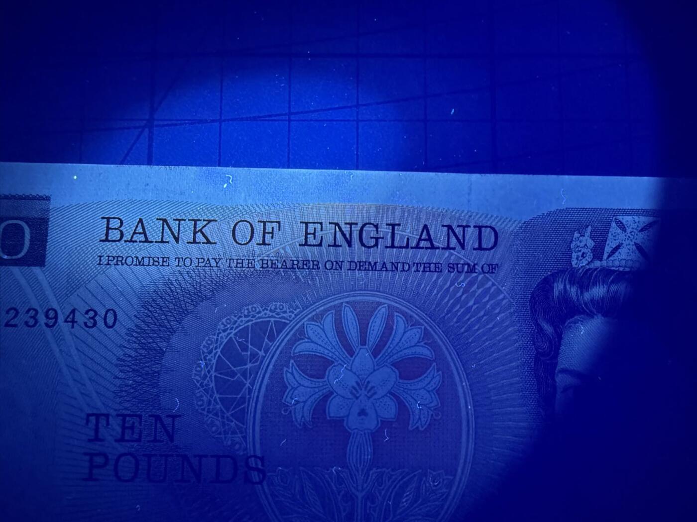 【炜奕收藏】，第五十三期