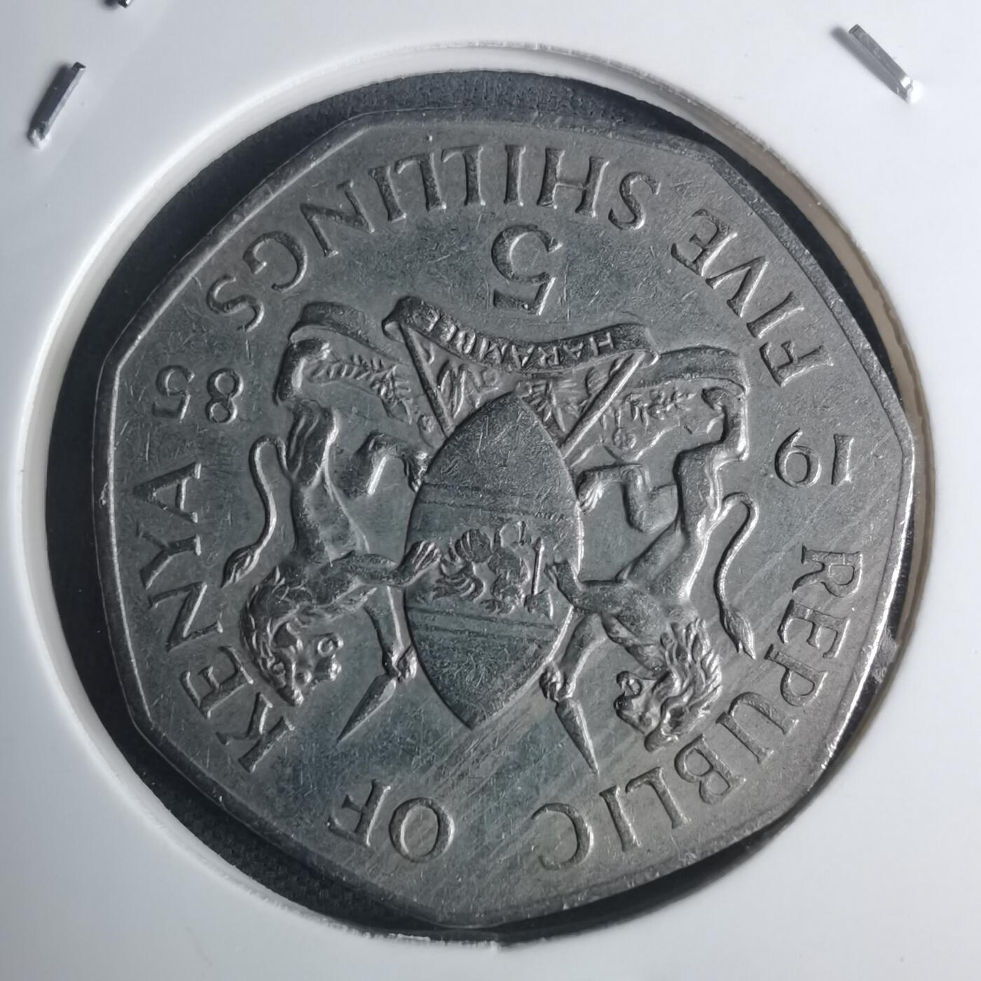 沼泽如烟--第935场