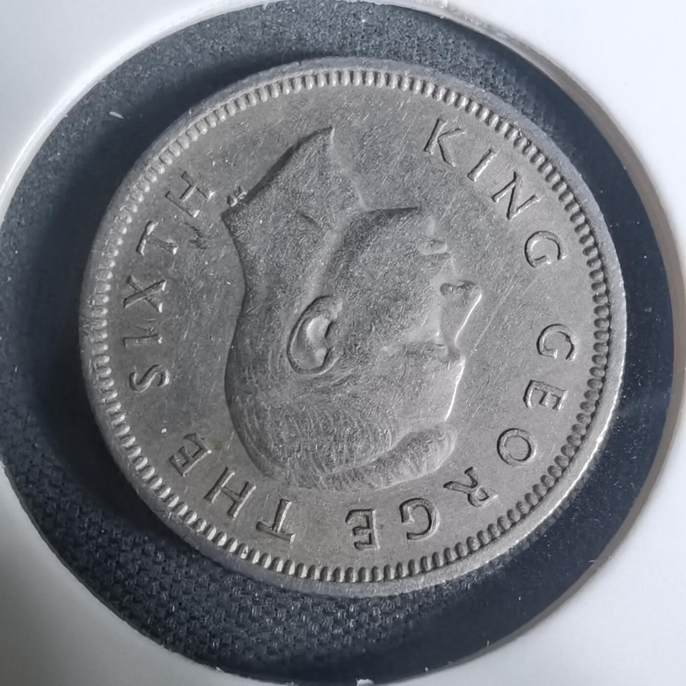 沼泽如烟--第934场