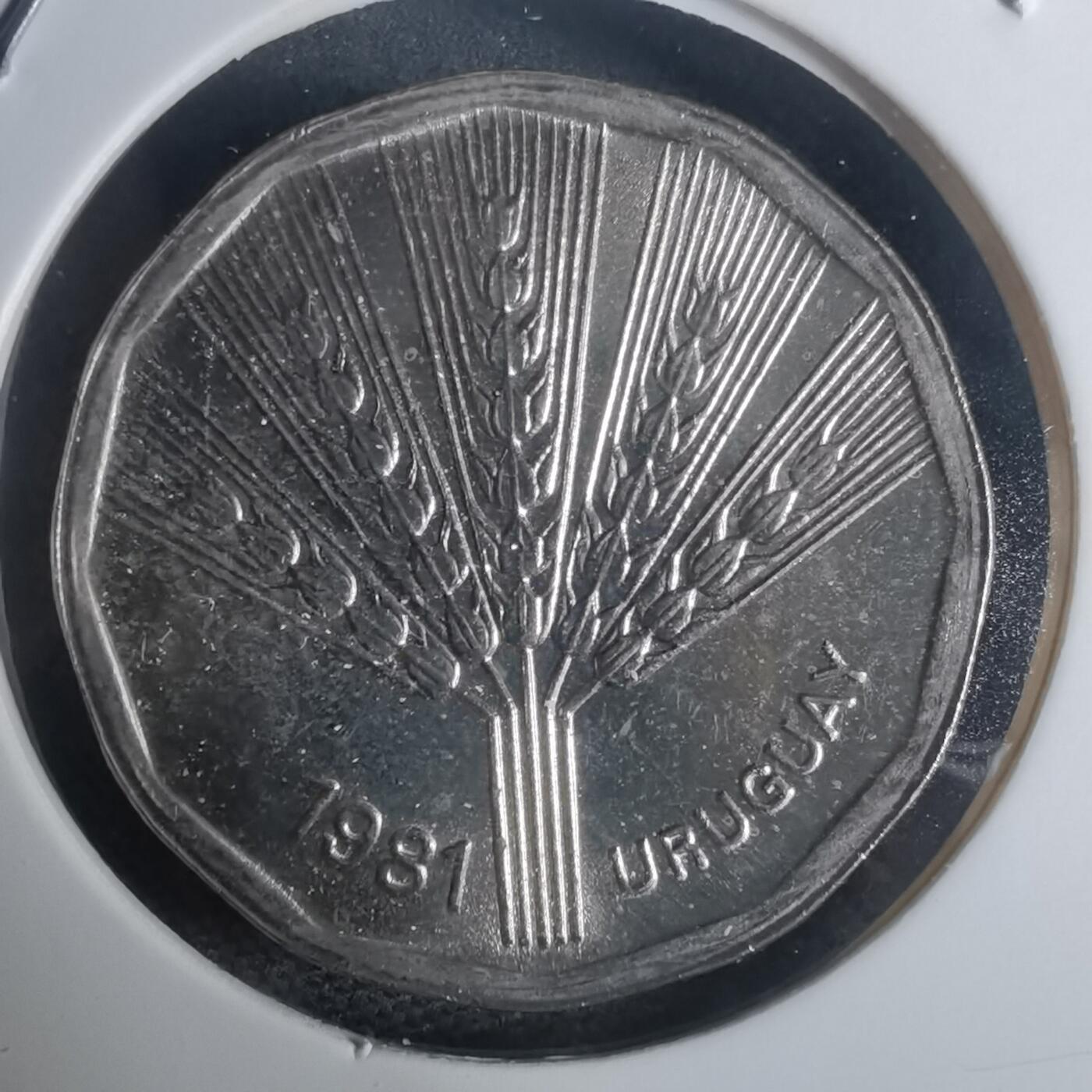 沼泽如烟--第935场 乌拉圭1981年2比索