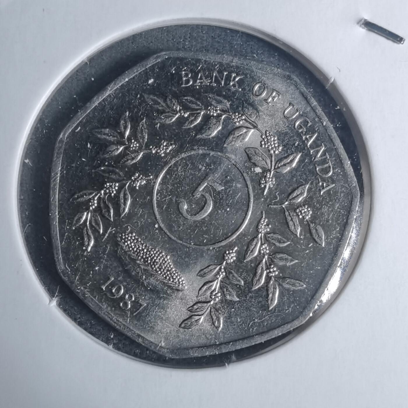 沼泽如烟--第934场