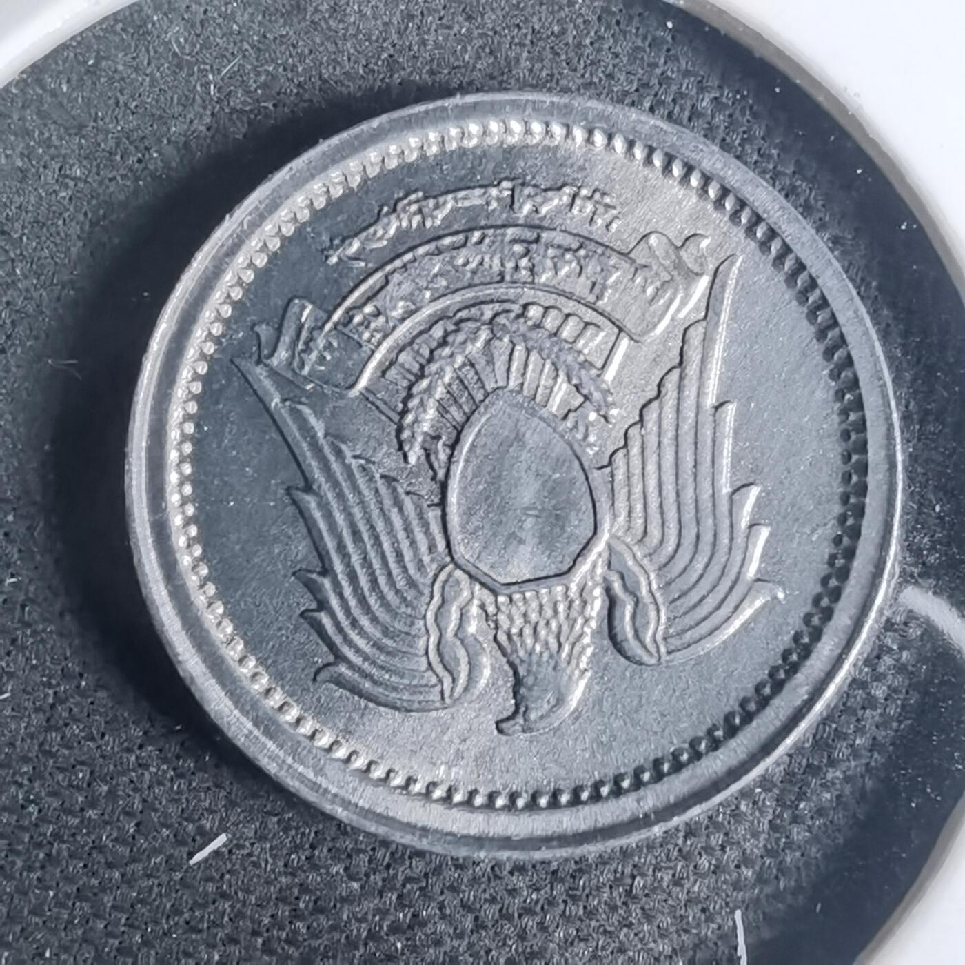 沼泽如烟--第935场