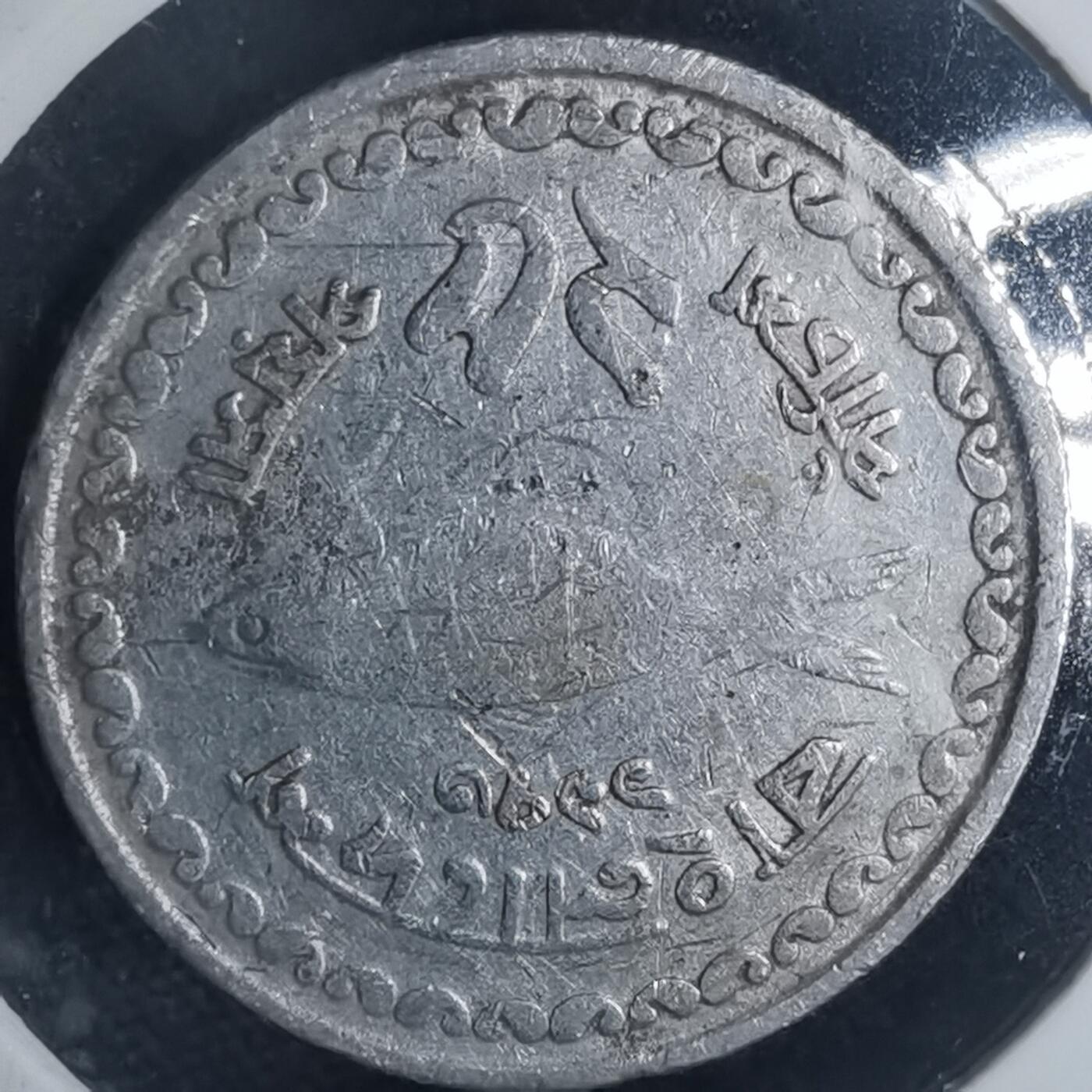 沼泽如烟--第935场 孟加拉鱼