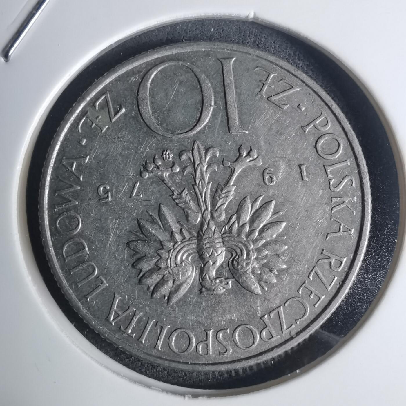 沼泽如烟--第935场