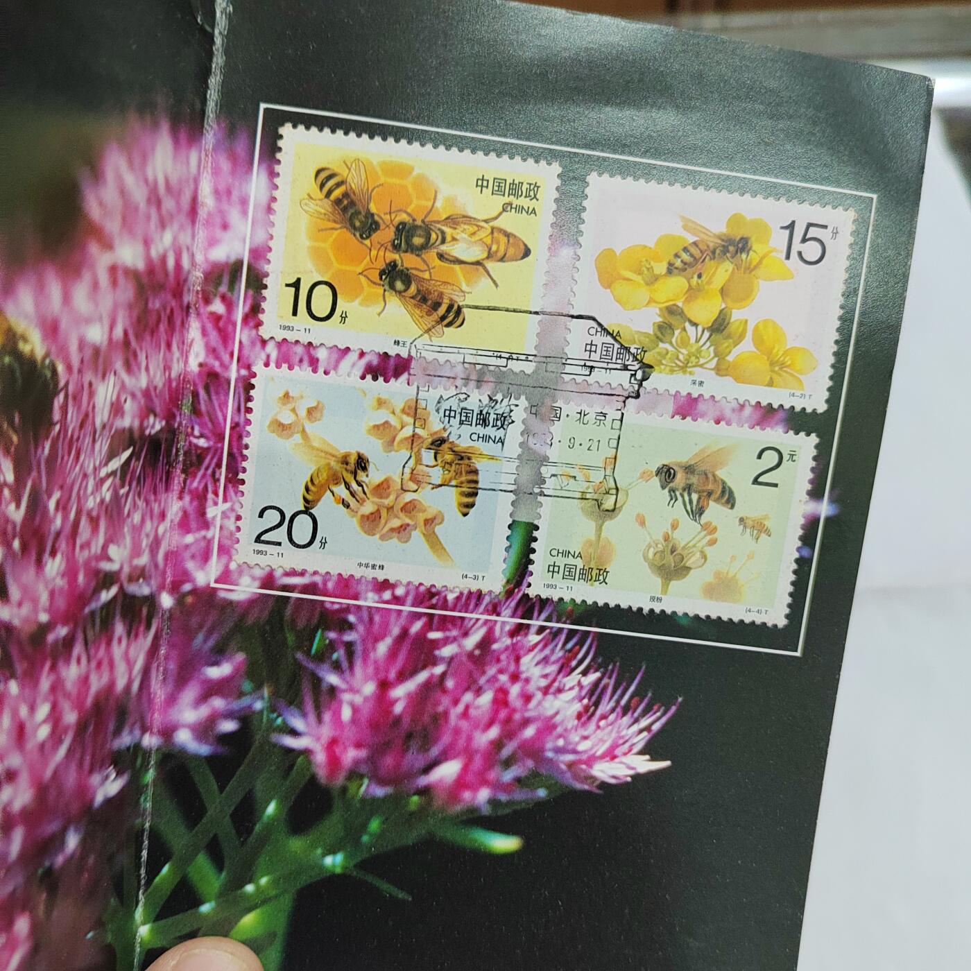 PCAI钱币  17-661  邮品小专场 密峰