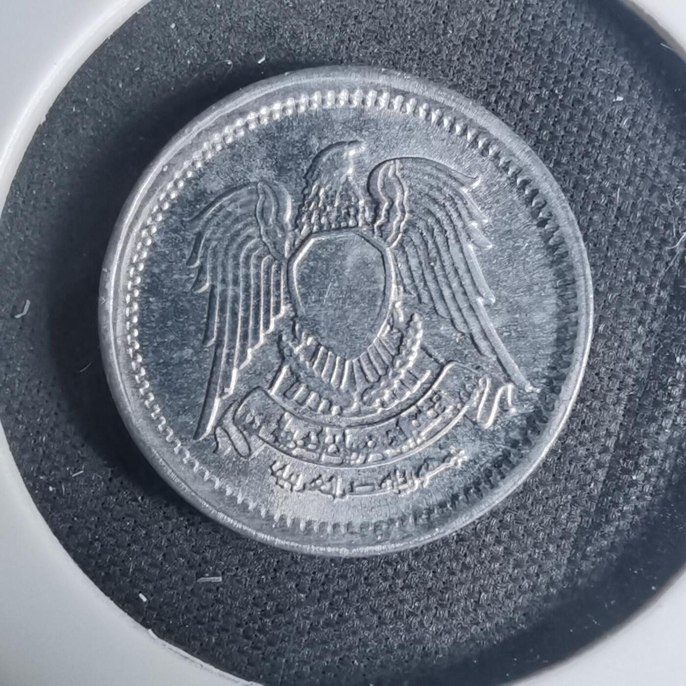 沼泽如烟--第935场