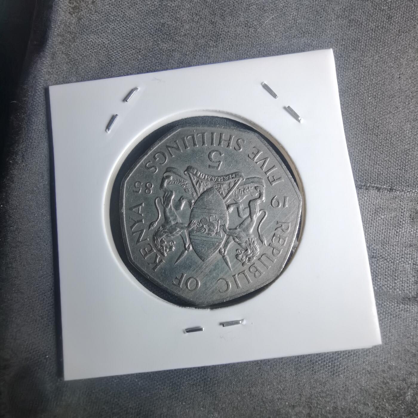 沼泽如烟--第935场