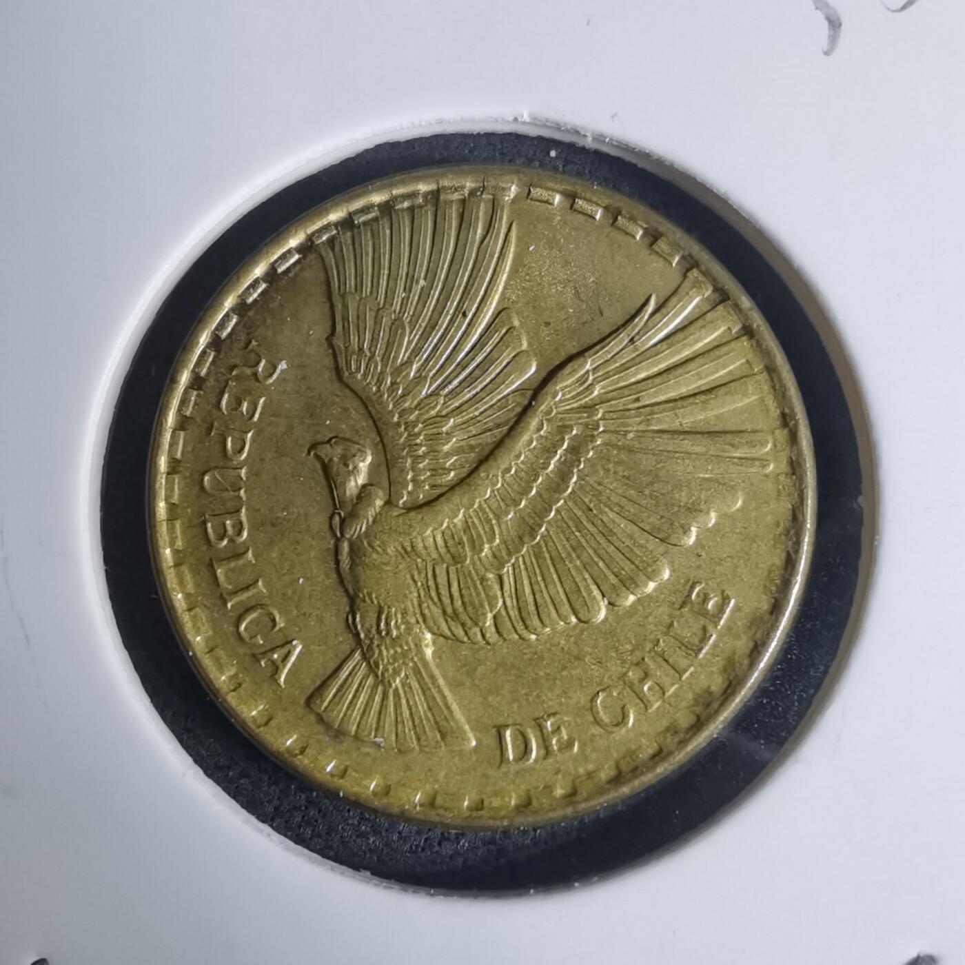 沼泽如烟--第935场