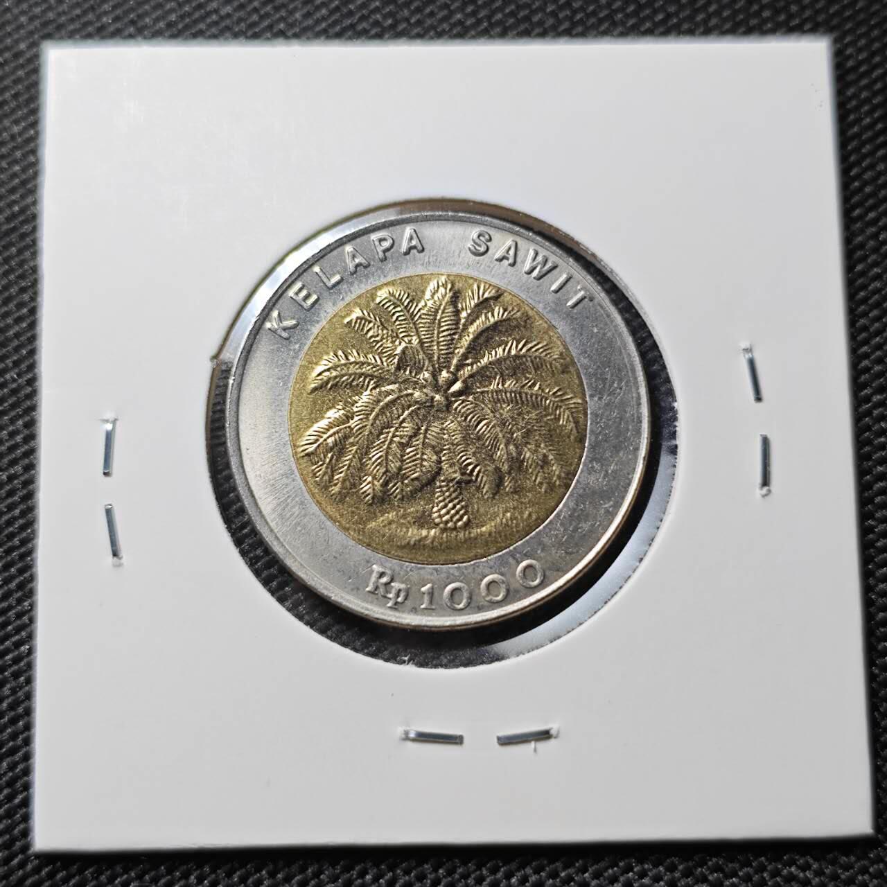 KK钱币收藏小铺 第380期  2月预留时间 周末发货