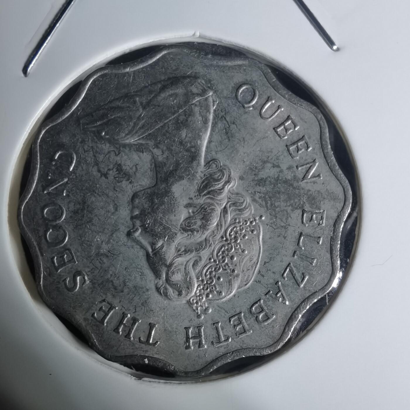 沼泽如烟--第934场