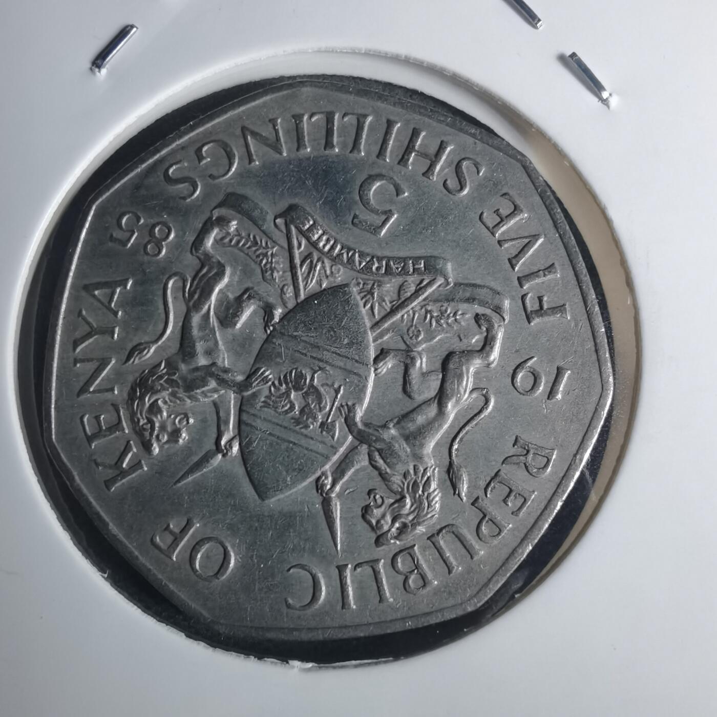 沼泽如烟--第935场